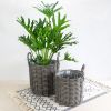 3-Pack Multi-purposes Basket with handler - Hand Woven Wicker - Gray