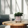 CERAMIC 10" AZTEC PLANTER ON WOODEN STAND, ORANGE